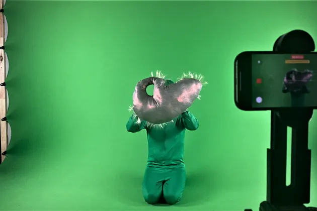 A person in green is holding up a cushion-like object against a green background. Photo.