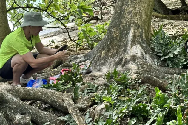 A person is sitting at the root of a tree. Photo.