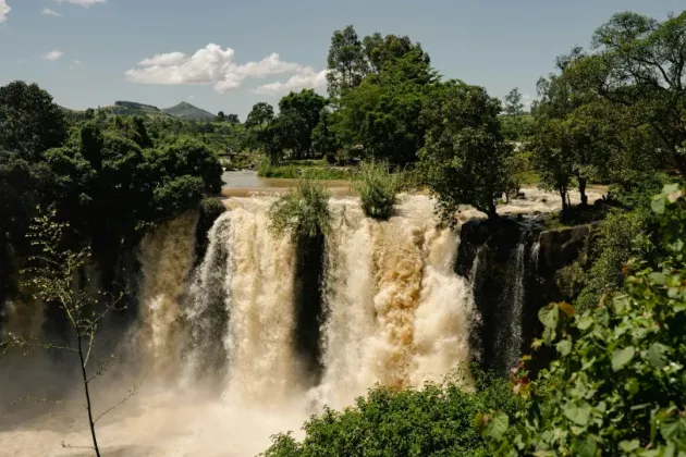 A waterfall in nature. Photo.