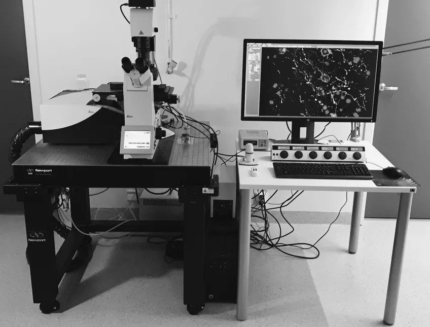 A confocal laser scanning microscope in a lab. Photo.
