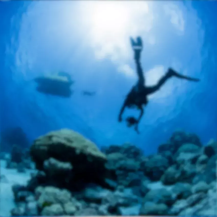 A diver seen against the surface. A blurry photo.