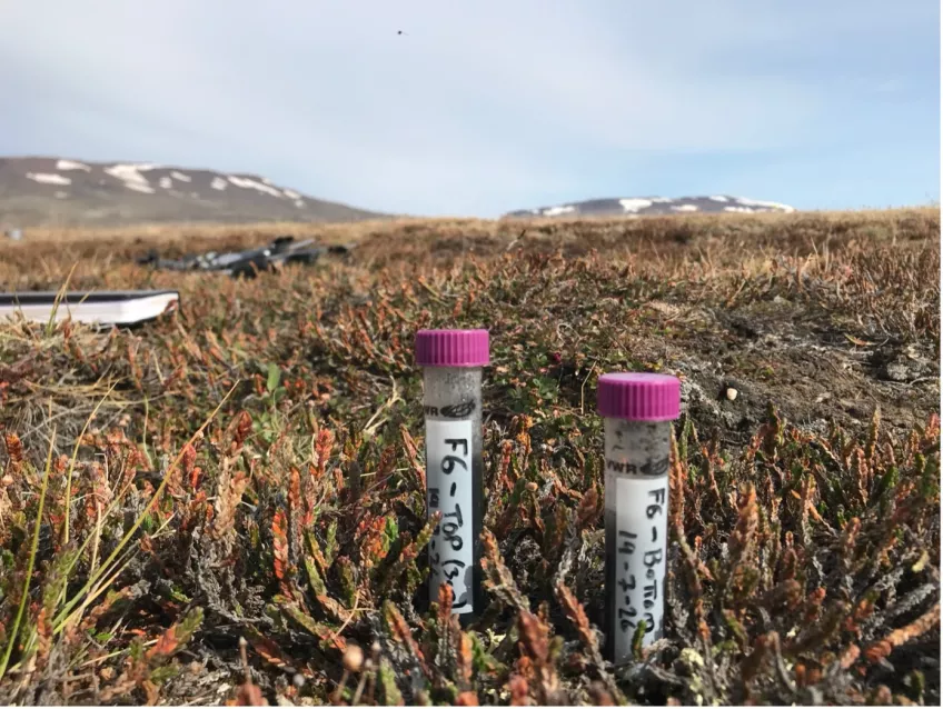 Two test tubes standing outside with mountains in the background. Photo.